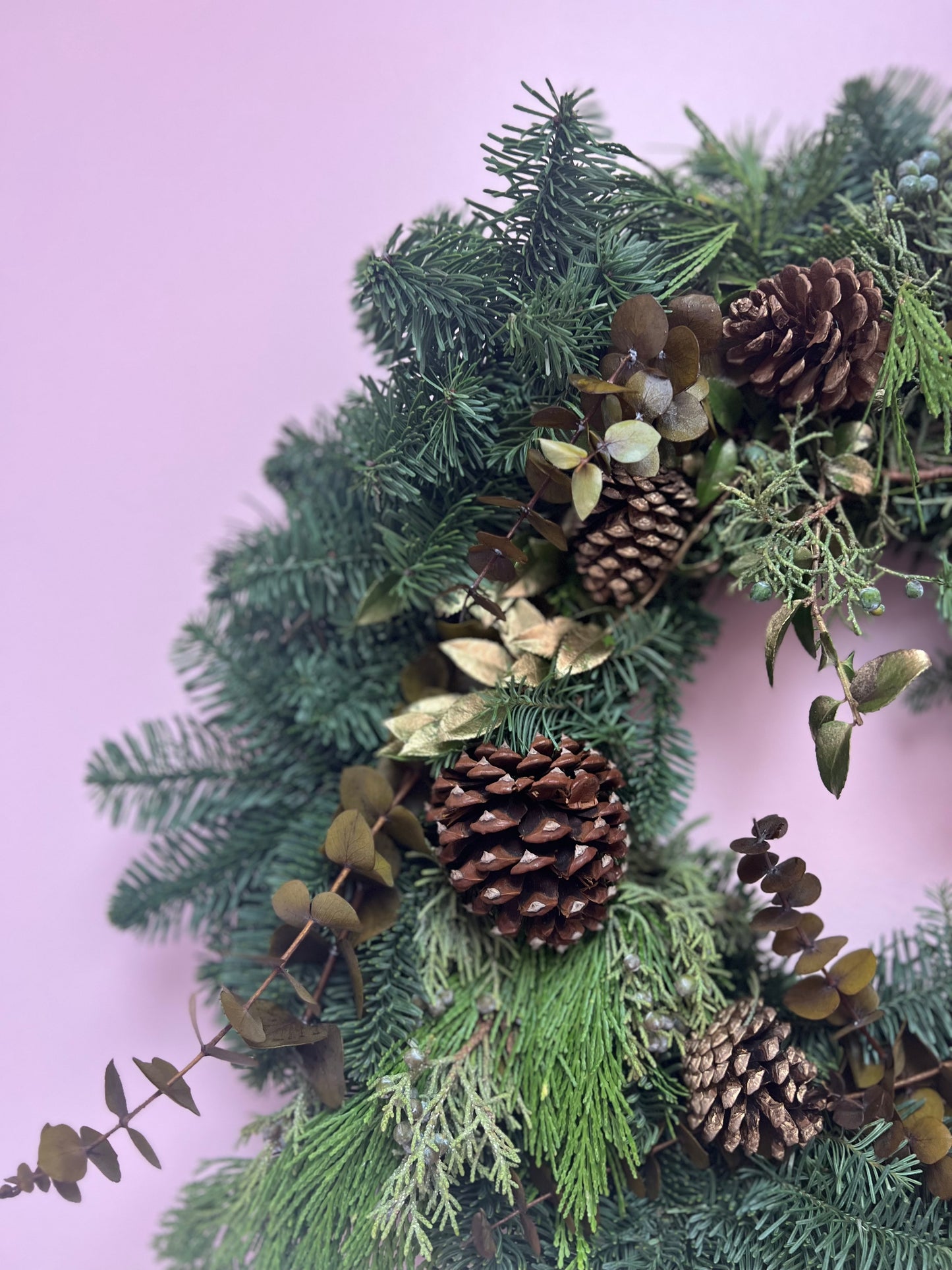 Live Fresh Holiday Wreaths - Holiday Special  20"